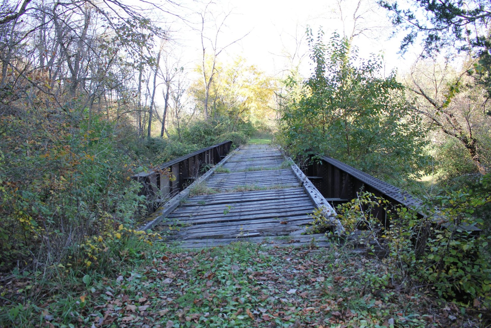 Looking south